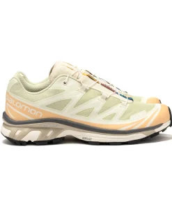 Salomon Advanced Xt-6 Aloe Wash/Hazelnut/Feather Gray>Men Footwear